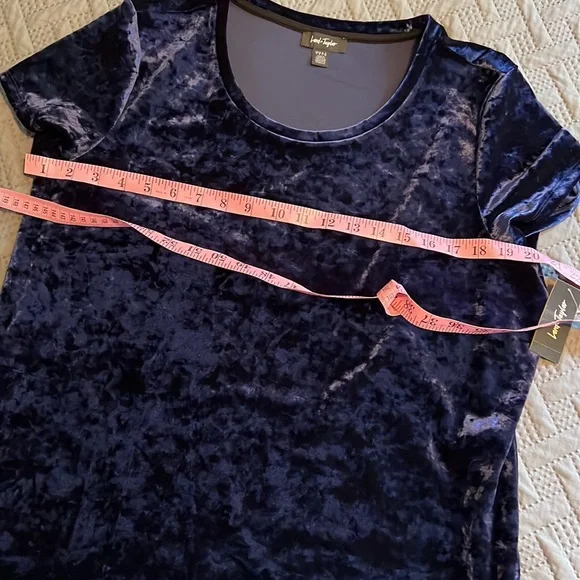 NWT Lord and Taylor : Blue Crushed Velvet Blouse - L - Picture 5 of 9